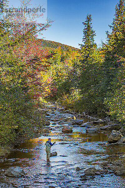 Ein Mann beim Fliegenfischen am Orbeton Stream im Herbst. Gemeinde Madrid  Maine.