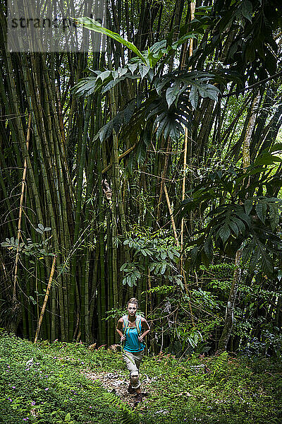 Eine Frau wandert in der Nähe eines Bambushains auf einem Wanderweg in Puerto Rico.