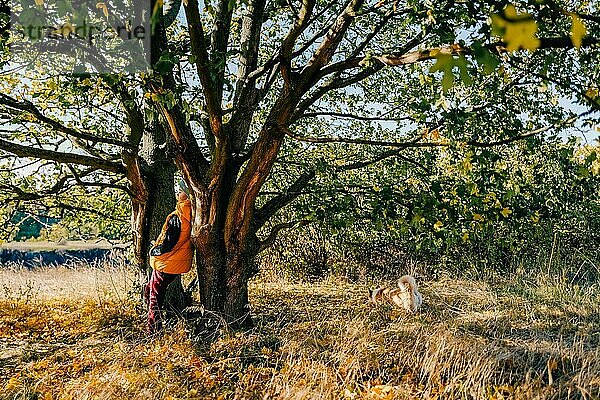 Ein Junge geht mit einem Corgi-Hund im Herbstwald spazieren