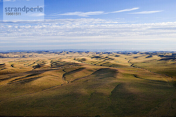 Luftaufnahme von Steppengrasland  Mongolei