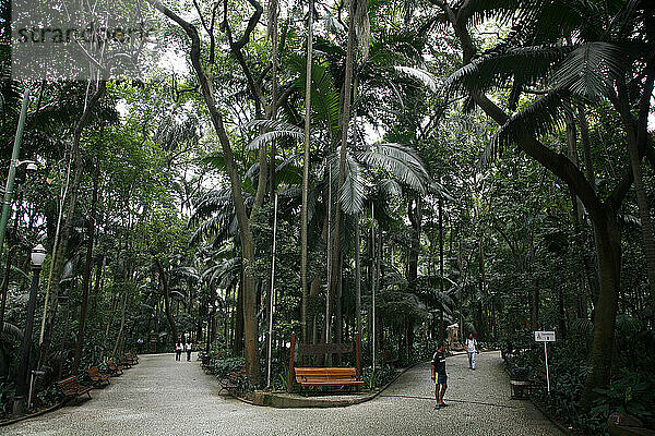 Parque Trianon  Sao Paulo  Brasilien.