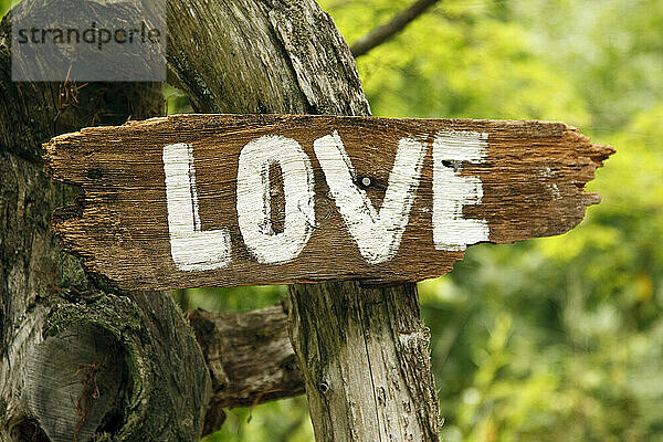 Ein Holzschild mit der Aufschrift „Love“.