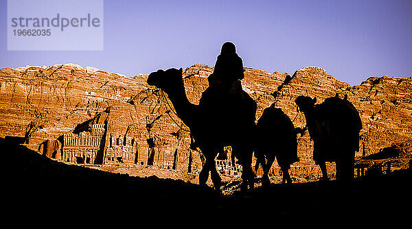 Silhouette von Kamelen und einem Reiter in Petra  Jordanien