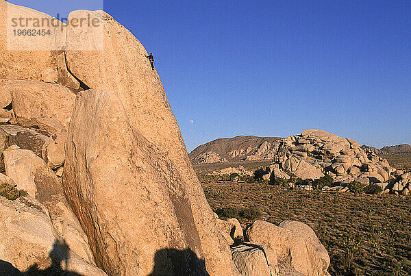 Joshua Tree Nat. Park