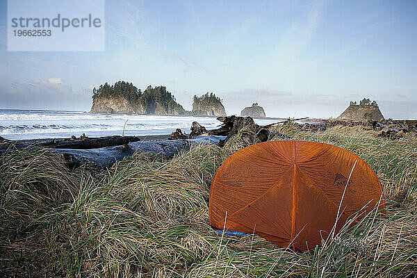 Ein orangefarbenes Zelt inmitten von hohem Gras und Felsnadeln in der Ferne in der Nähe von La Push Washington.