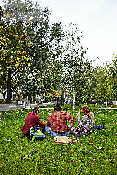 Freunde entspannen sich auf dem Rasen in einem Stadtpark