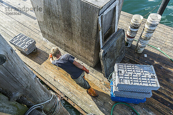 Hafenmitarbeiter Carl Pottle bewegt Hummerbehälter bei Great Wass Lobster in Beals  Maine.