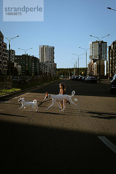 Ein Mädchen mit Hunden überquert die Straße.