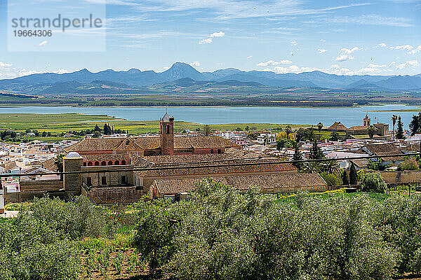 Blick auf das Dorf Bornos in Andalusien  Spanien