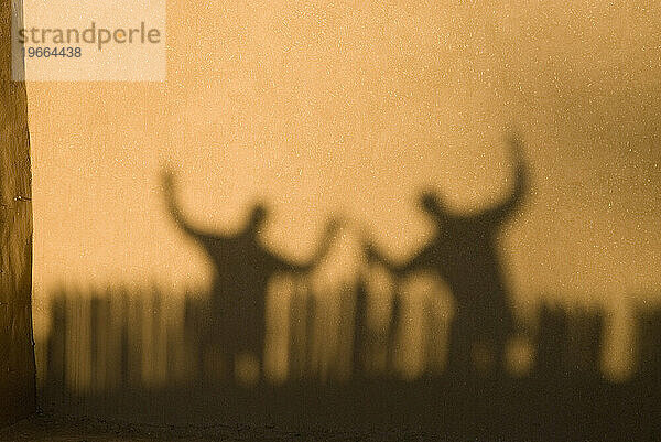 Zwei menschliche Silhouetten auf einer Lehmwand in Taos  New Mexico.