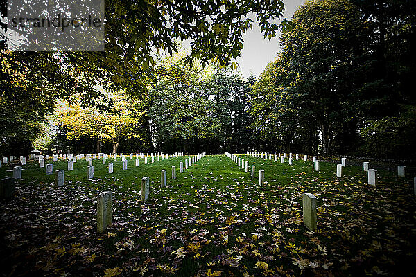 Bunte Bäume und Blätter schmücken den Friedhof von Fort Lawton in Seattle  Washington.