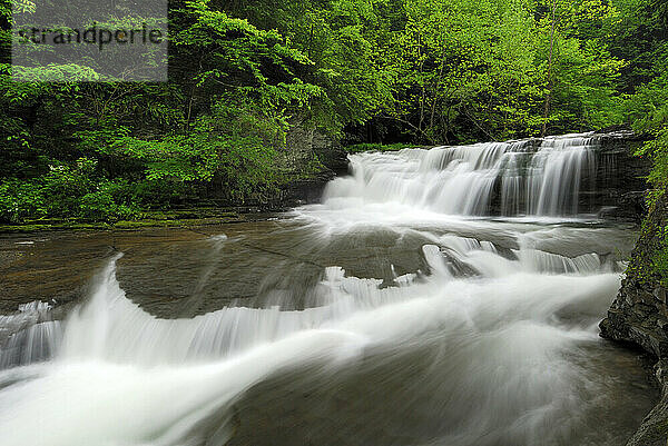 Wasserfall im Robert H. Treman State Park  New York  USA