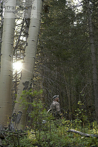 Elchjagd in Colorado