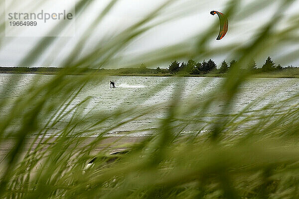 Männlicher Kiteboarder reitet alleine und umrahmt von hohem Gras.