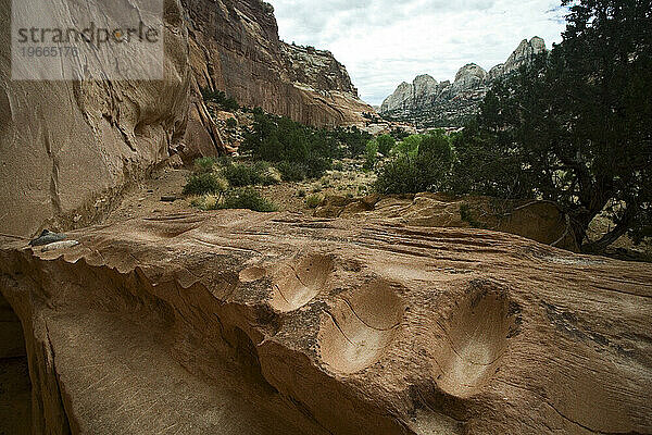 Grinding stone troughs from Native American Indians  Capitol Reef National Park  Utah.