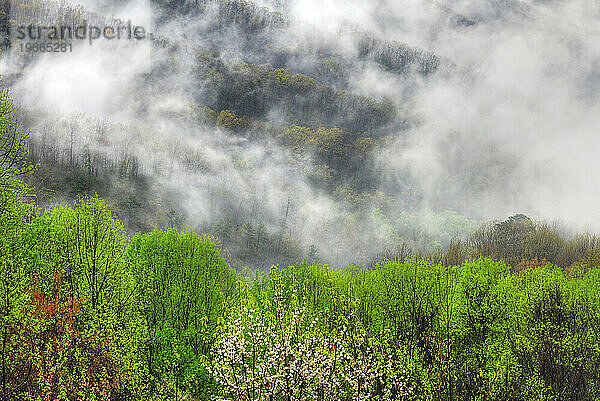 Great-Smoky-Mountains-Nationalpark