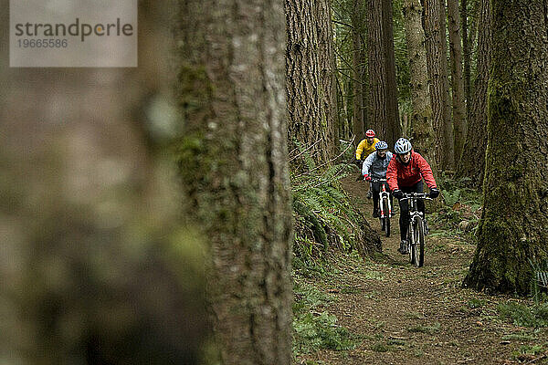 Zwei Mountainbiker fahren auf einem Singletrail durch den Wald.