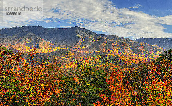 Great-Smoky-Mountains-Nationalpark