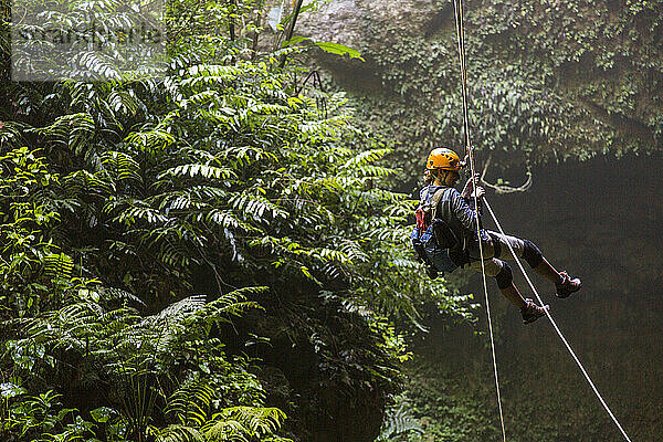 Eine junge Frau seilt sich in einem dichten  üppigen Wald in Puerto Rico an einem Seil ab.