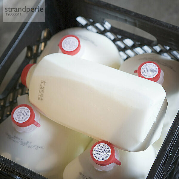 Gallonen-Milchbehälter.