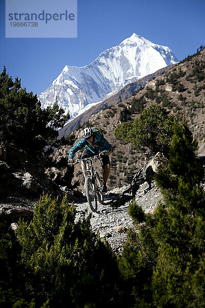 Ein Mann fährt mit dem Mountainbike einen Weg mit Gebüsch und Berggipfel hinunter.