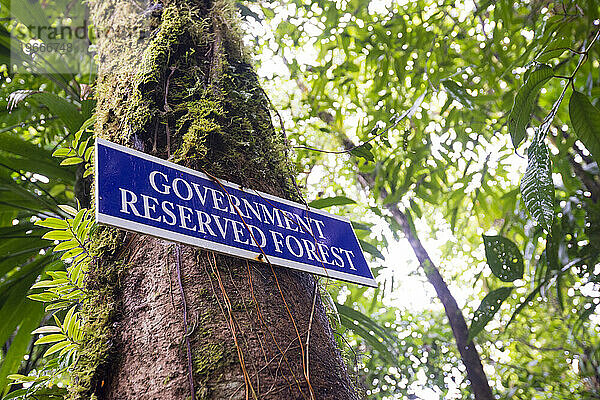 Ein Schild weist auf den Beginn des Government Reserved Forest auf Abschnitt 8 des Waitukubuli National Trail auf der Karibikinsel Dominica hin.