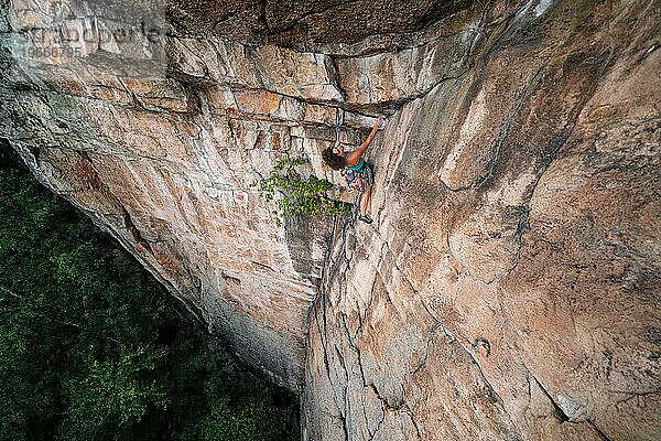 Amanda Milhet – Vogelkäfig – Gunks NY USA Klettern