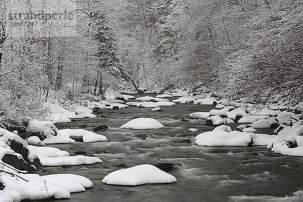 Chittenango Creek im Winter