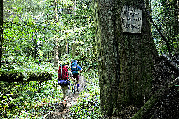 Zwei Wanderer gehen einen Pfad entlang  der in ein Wildnisgebiet führt.