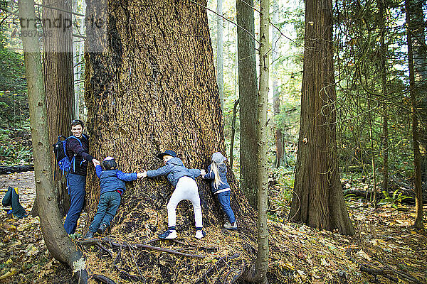 Vater und drei Kinder schlingen ihre Arme um einen großen Baum