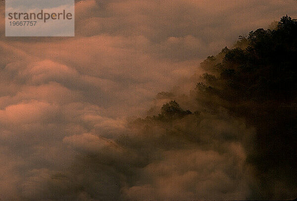 Sanfte Hügel im Nebel.