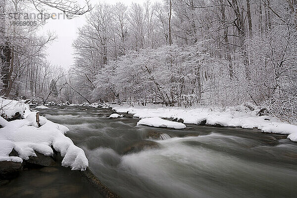 Chittenango Creek im Winter