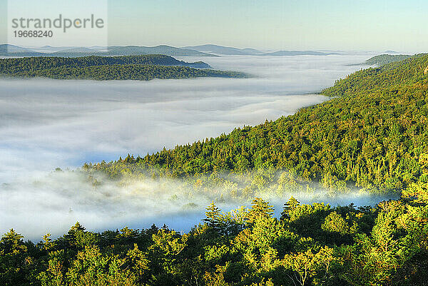 Morgendämmerung und Morgennebel  Adirondack Park  New York  USA