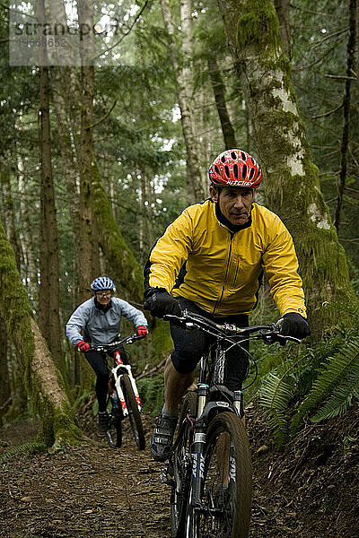 Zwei Mountainbiker fahren auf einem Singletrail durch den Wald.