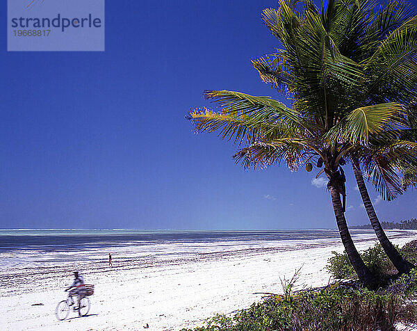 Mann aus Sansibar fährt mit dem Fahrrad am Strand von Bwejuu  Sansibar  Tansania.