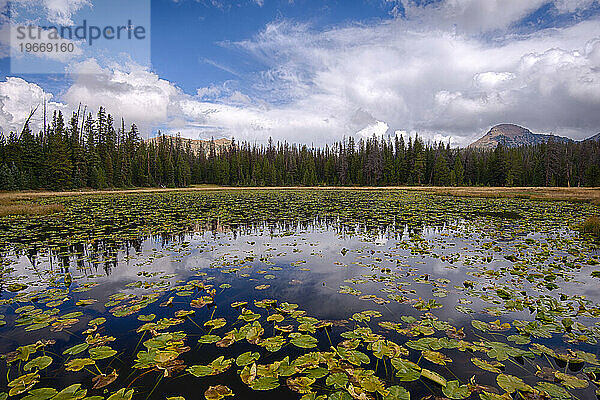 Utah Scenics – Nord-Utah  Uinta-Gebirge