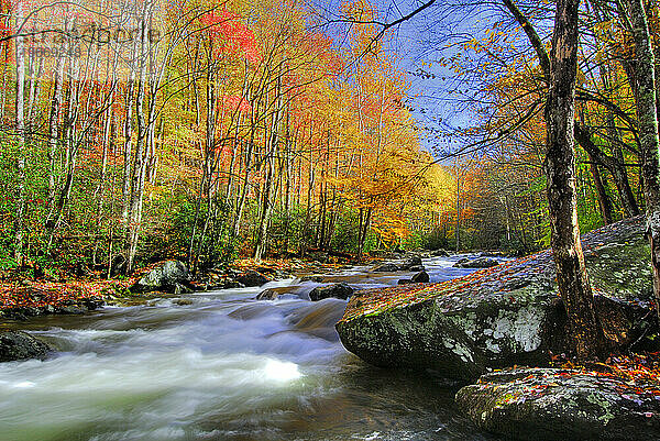 Great-Smoky-Mountains-Nationalpark