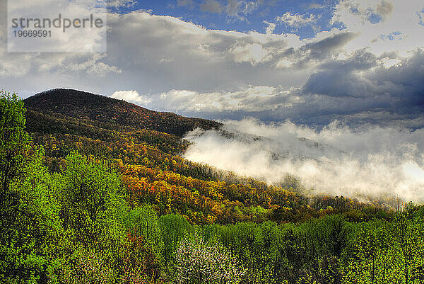 Great-Smoky-Mountains-Nationalpark