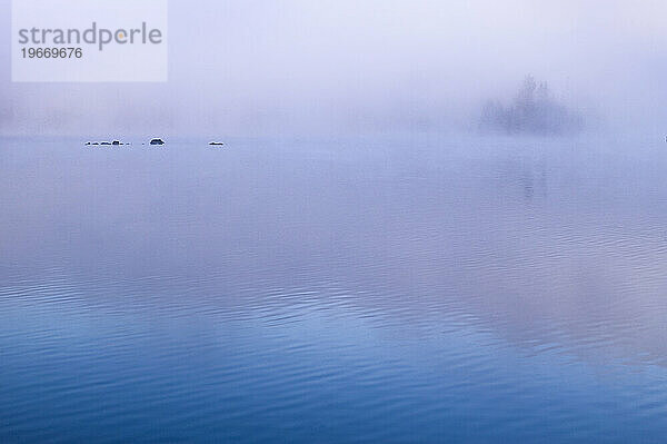 Blauer Morgennebel bedeckt die Inseln des Algonquin-Nationalparks in Ontario  Kanada.