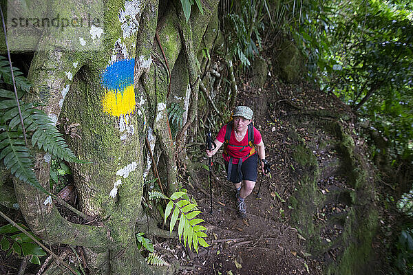 Eine Frau wandert auf Abschnitt 3 des Waitukubuli National Trail auf der Karibikinsel Dominica an einem blau-gelben Wegweiser vorbei. Die blau-gelbe Markierung ist das offizielle Zeichen