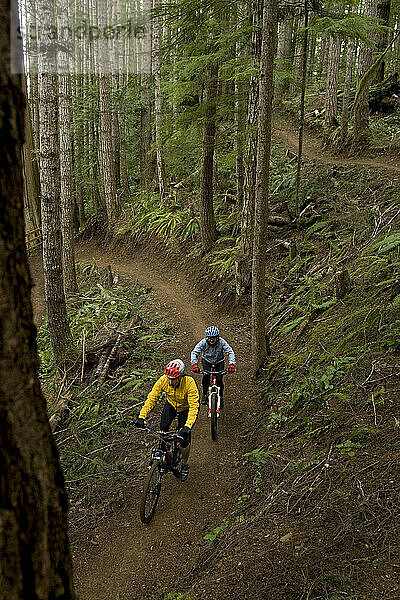 Zwei Mountainbiker fahren auf einem Singletrail durch den Wald.