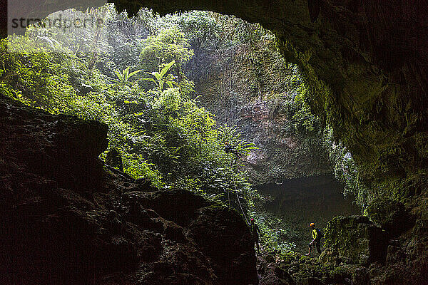 Eine Frau seilt sich in einer tiefen Höhle in einem üppigen Wald in Puerto Rico ab.