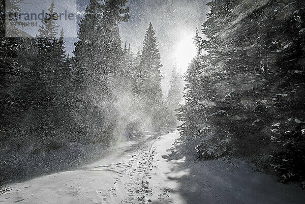 Beim Schneeschuhwandern in Echo Lake  Colorado