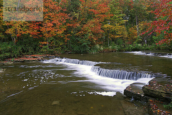 Chittenango Creek im Herbst