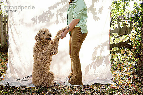 Woman holding hands with golden doodle outdoors