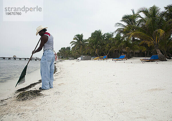 Ein Mann harkt Algen an den Ufern von Ambergris Cay  Belize.