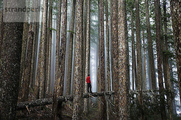 Ein junger Mann balanciert auf einem Baumstamm in einem nebligen Wald.