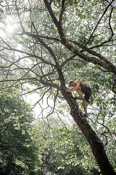 Blickt zu einem Kind  das an einem Sommertag hoch in einen Baum klettert