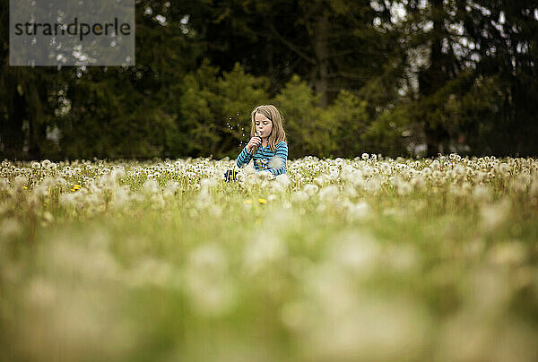 Kleines Mädchen macht einen Wunsch auf Löwenzahn in einem Blumenfeld