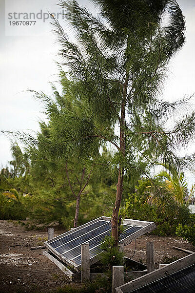 Sonnenkollektoren versorgen eine kleine  abgelegene Insel in Belize mit Strom.